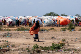 In Somalia, AI Is Helping Deliver Food to Hungry Families Faster and More Efficiently