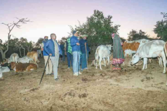 Samburu Under Attack Eight Killed as Bandits Raid Villages and Steal Hundreds of Livestock