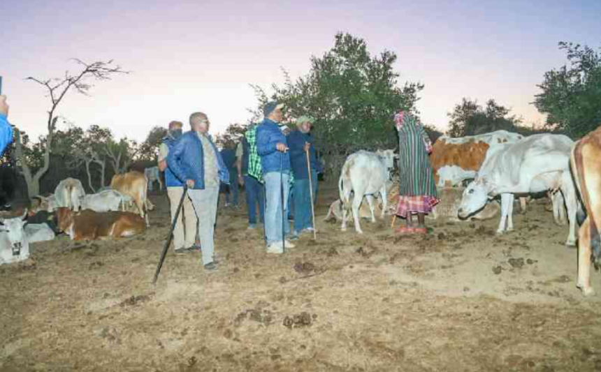 Samburu Under Attack Eight Killed as Bandits Raid Villages and Steal Hundreds of Livestock